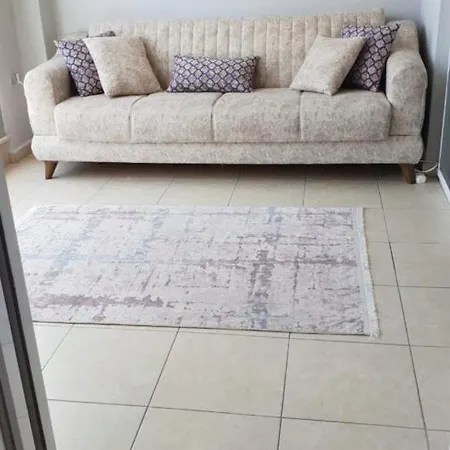 Antalya/alanya Olive 알란야